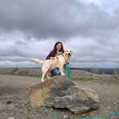 Hundetreffen-Gassitreff / Spiel & Spaß-Bild