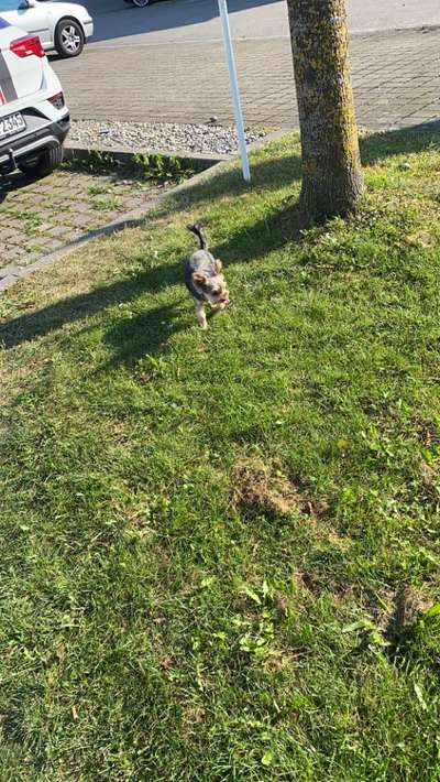 Fotochallenge Nr. 56 - geliebte Senioren-Beitrag-Bild