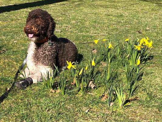 Handy-Foto-Challange Nr.9-Beitrag-Bild