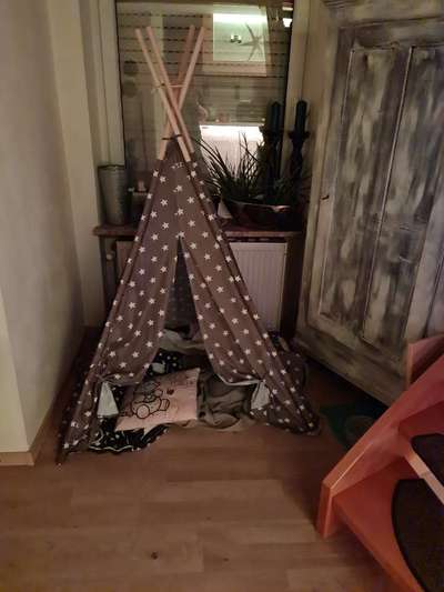 Körbchen / Hundebett-Beitrag-Bild