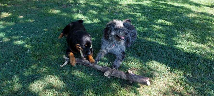 Theos Fotochallenge Nr. 3-Beitrag-Bild