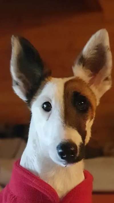 Fotochallange Nr. 57     PORTRÄT.   Beendet!!!!!!!!-Beitrag-Bild