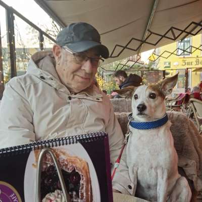 Hundetreffen-Begleitung für Gassirunden