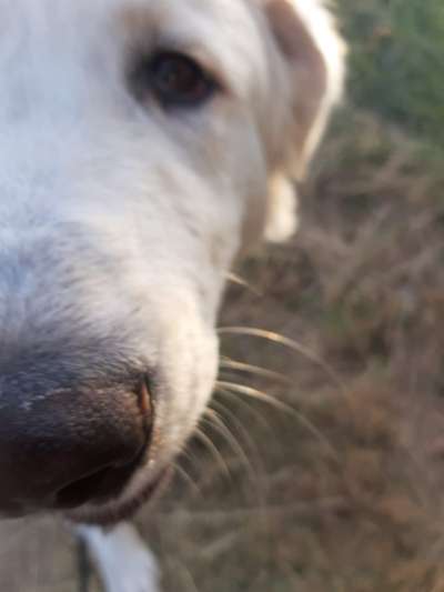 Blick fürs Detail!-Beitrag-Bild