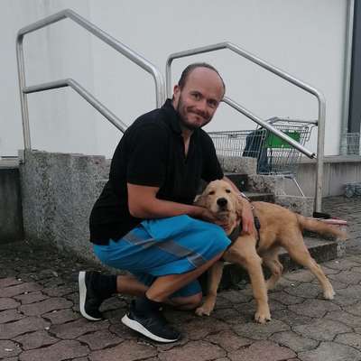 Hundetreffen-Spielfreund gesucht