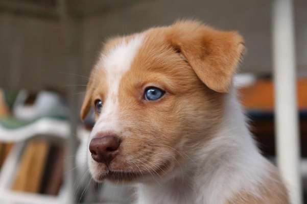 Foto Challenge 3-Beitrag-Bild