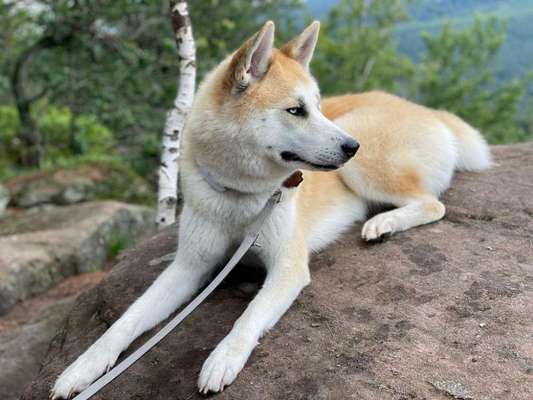 Fotowettbewerb Natur-Beitrag-Bild