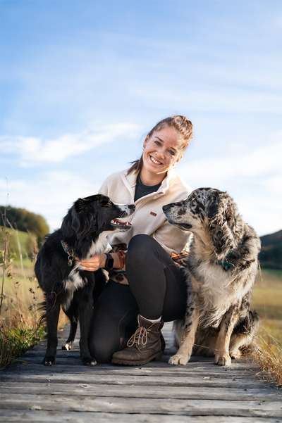 Hundetreffen-Trainingsspaziergang/Social Walk-Bild