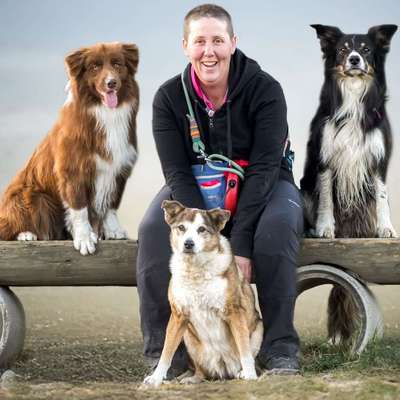 Hundepensionen-DieHundeNanny-Bild