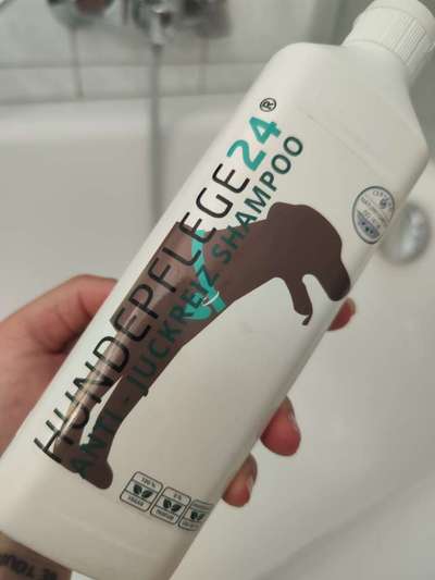 Hautpilz bei Hund-Beitrag-Bild