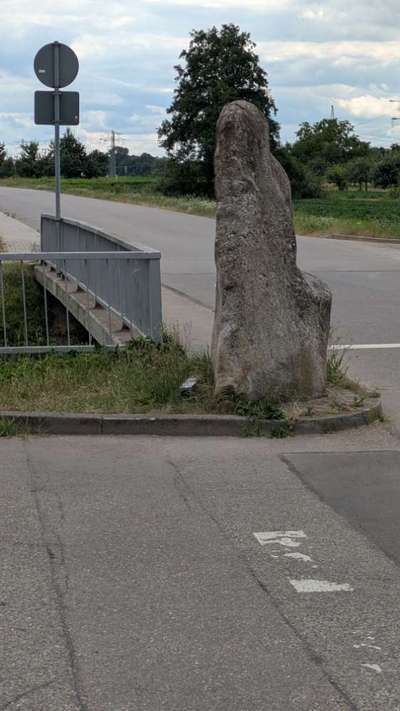 Giftköder-Köderfalle-Bild
