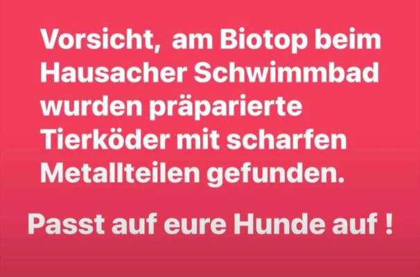 Giftköder-Präparierte Tierköder-Bild