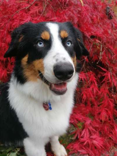 Lieblingsbild-Beitrag-Bild