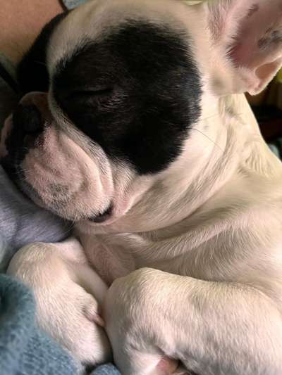 Was würdest du jetzt anders machen?-Beitrag-Bild