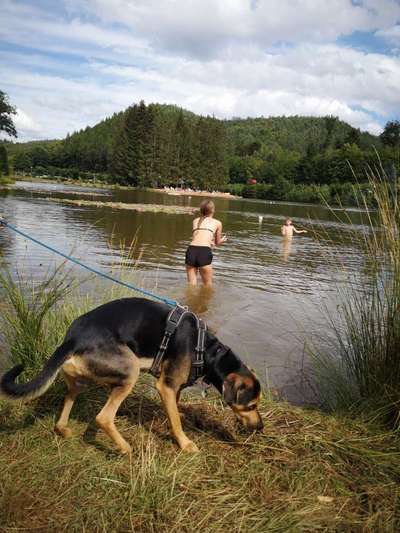 Eure Strandbilder :)-Beitrag-Bild
