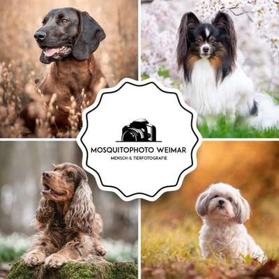 %{de_profession_title}-Fotoshooting - Paketpreise-Bild