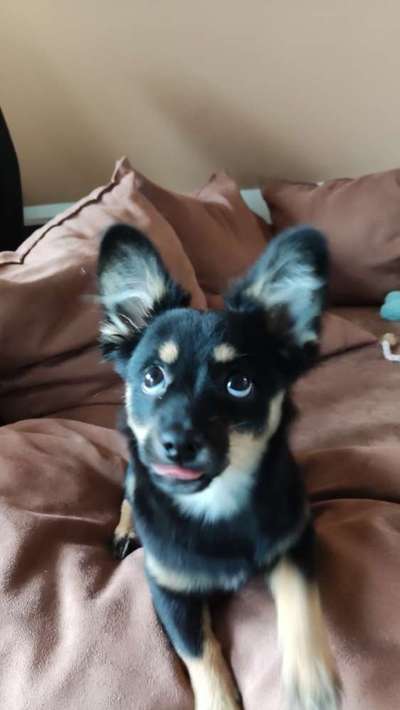 Handyfoto challenge Nr. 13: Waschlappen raus!-Beitrag-Bild