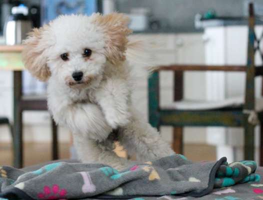 Austausch zur Fotografie-Beitrag-Bild