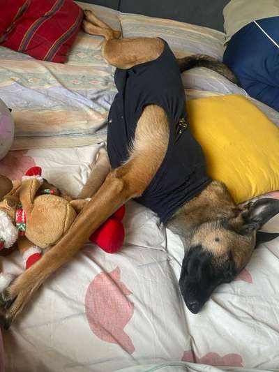 Kastraktion - Statt Trichter, Body oder…?-Beitrag-Bild