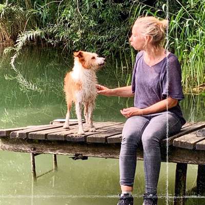 Hundetreffen-Spiel- und Gassikumpel und Kumpelinnen gesucht