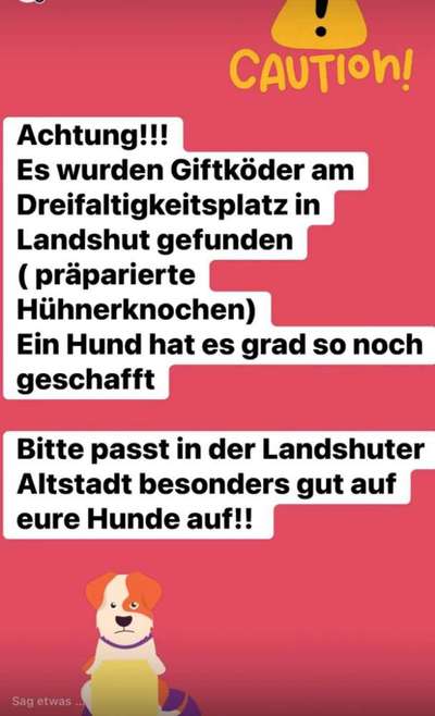 Giftköder-Giftköder in Landshut, Dreifaltigkeitspl-Bild