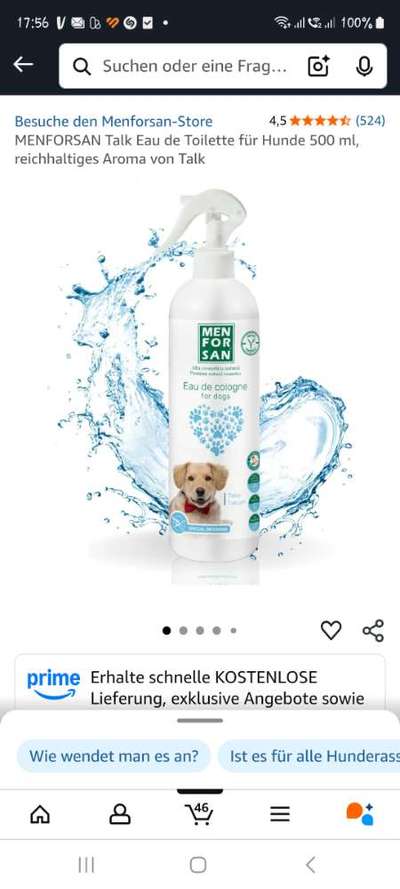 Hilfe ! Mein Hund riecht (unangenehm) nach Hund !-Beitrag-Bild