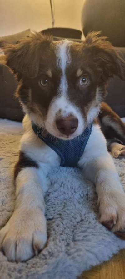 Fotochallange Nr. 57     PORTRÄT.   Beendet!!!!!!!!-Beitrag-Bild