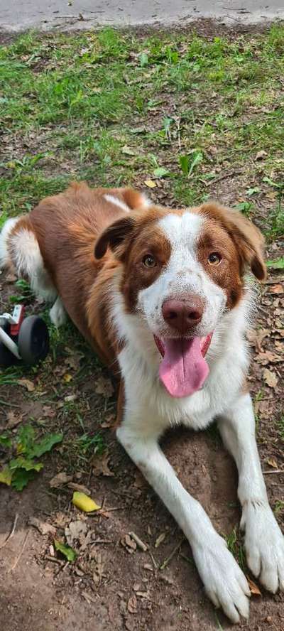 Fotochallange Nr. 57     PORTRÄT.   Beendet!!!!!!!!-Beitrag-Bild