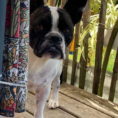 %{de_profession_title}-Wiedevorstellung/ Nachbehandlung-Bild