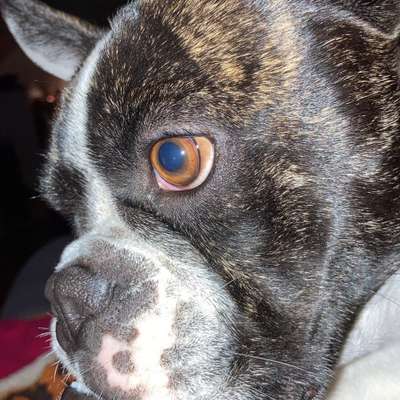 %{de_profession_title}-Erstvorstellung-Bild