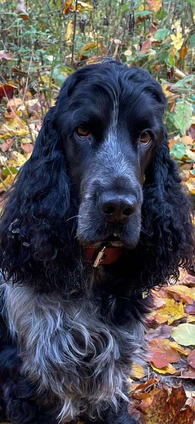 Fotochallange Nr. 57     PORTRÄT.   Beendet!!!!!!!!-Beitrag-Bild