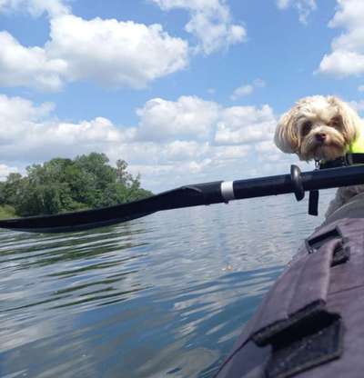 Theos  Fotochallenge Nummer 2-Beitrag-Bild