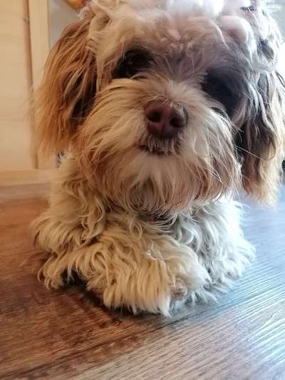 Fotochallange Nr. 57     PORTRÄT.   Beendet!!!!!!!!-Beitrag-Bild