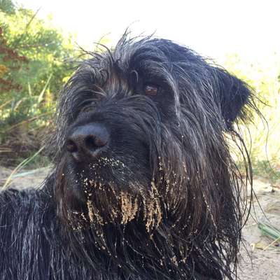 Lieblings Schnappschuss?-Beitrag-Bild