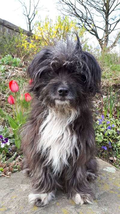 Fotochallenge No. 26                                     Wald und Wiese-Beitrag-Bild