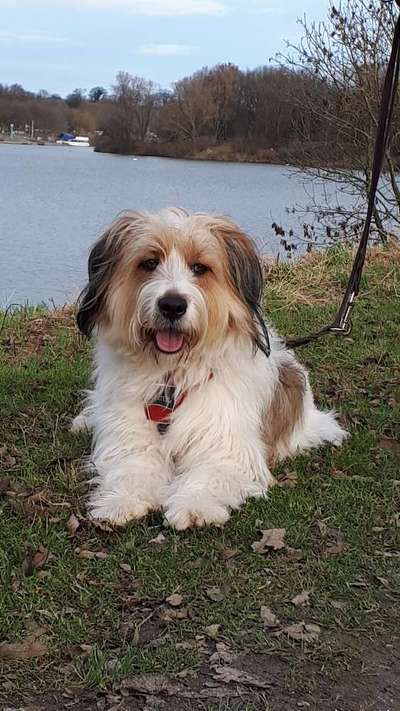 Gibts hier Mioritic Besitzer?-Beitrag-Bild