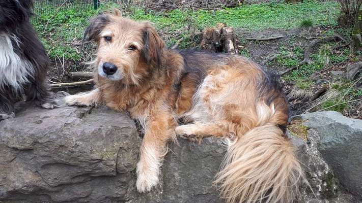 Fotochallenge No. 26                                     Wald und Wiese-Beitrag-Bild