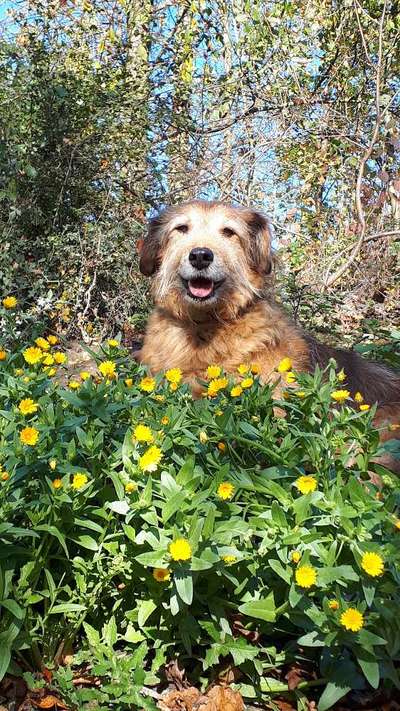 Fotochallenge Nr. 56 - geliebte Senioren-Beitrag-Bild