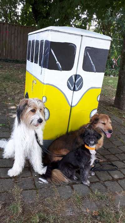 CHALLENGE NR. 18 - ON TOUR-Beitrag-Bild