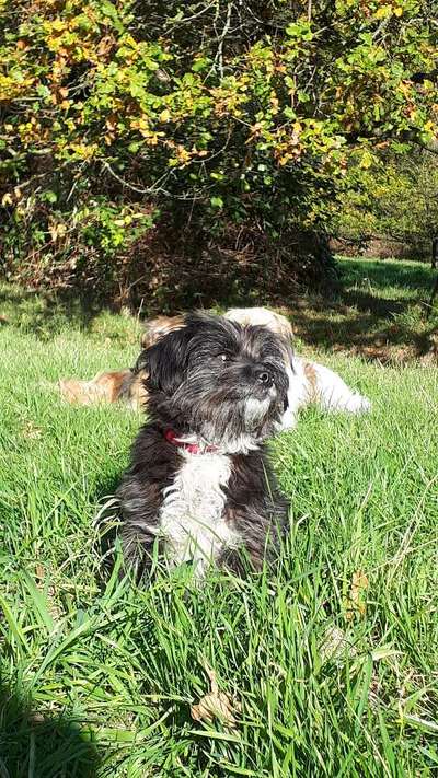 Fotochallenge Nr. 56 - geliebte Senioren-Beitrag-Bild