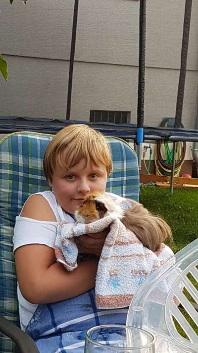 Unsere Fellnasen im Regenbogenland-Beitrag-Bild