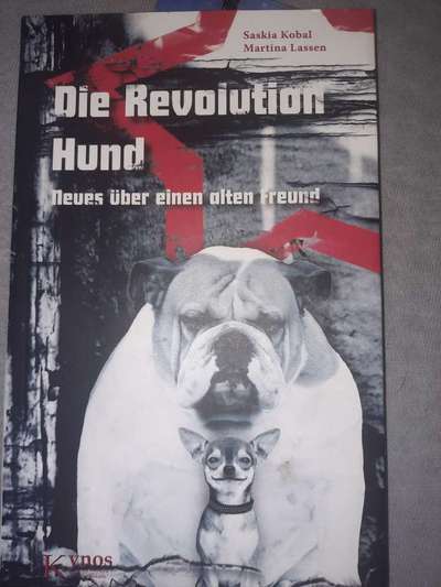 Erziehung und die Gefühle dabei-Beitrag-Bild