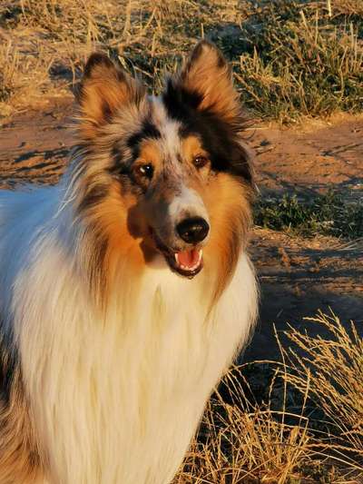 Fotochallenge Nr.122-Beitrag-Bild