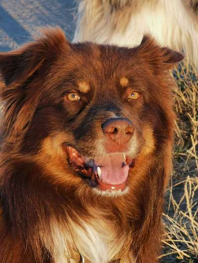 Fotochallenge Nr.122-Beitrag-Bild