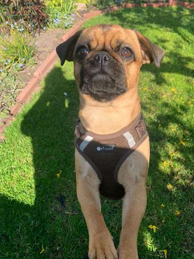 Fotochallenge 87: Im Park-Beitrag-Bild