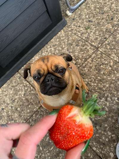 Von oben-Beitrag-Bild