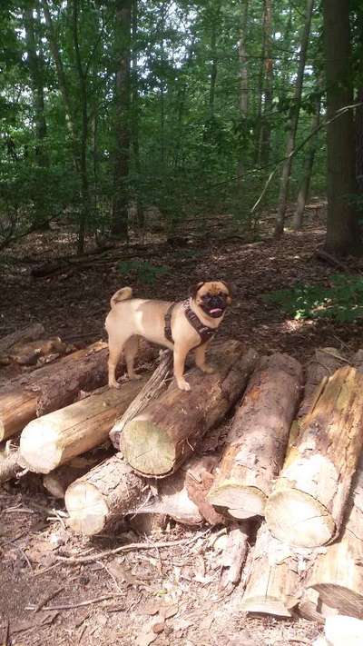 Foto Challenge Nr. 79-Beitrag-Bild