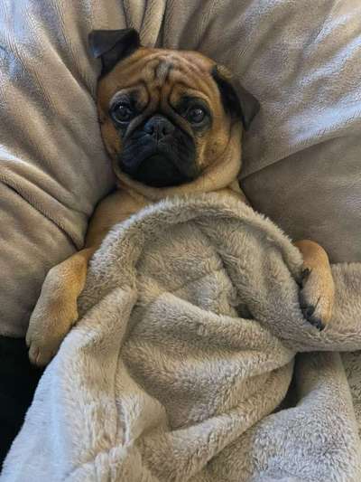 Fotochallenge Nr. 67: Euer Lieblingsbild-Beitrag-Bild