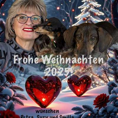 aktuelles Foto Gruppe Dackel