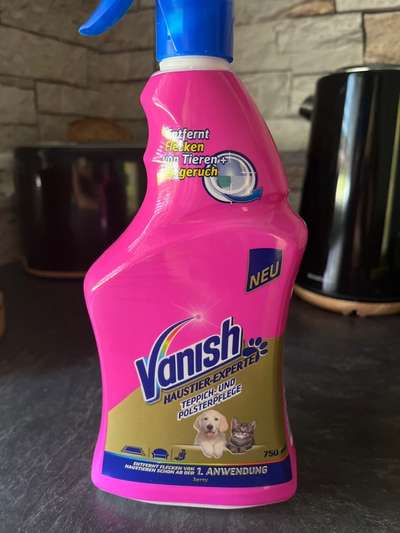 Erstausstattung-Beitrag-Bild